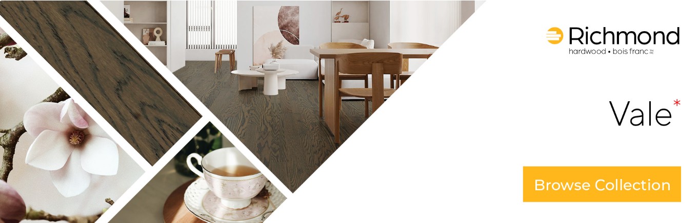 Shnier website banner